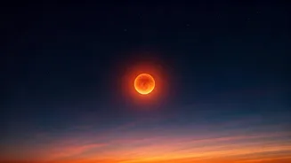 Related Stories banner