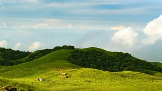 Capture India's Green Season: Monsoon Photography Ideas For Weekend Travellers