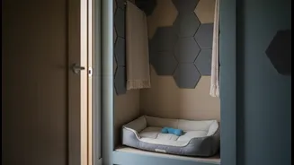 A Quiet Safe Room Can Help Pets Cope With Thunder More Predictably