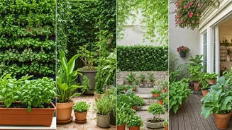 Unlocking Your Green Thumb: Explore 6 Creative Home Gardening Styles