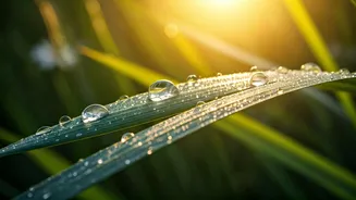 Beat the Heat: Your Dermatologist's Ultimate Summer Skin Survival Guide