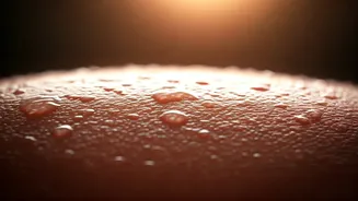 Understanding Sweat: What's Normal & When to Worry?