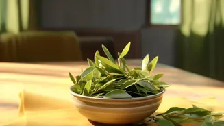 Urban Herb Gardens Are Becoming A Lifestyle Choice Across Chennai Apartments