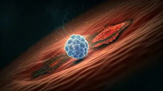 Unraveling Inflamm-aging: Your Guide to Combating Age-Related Inflammation