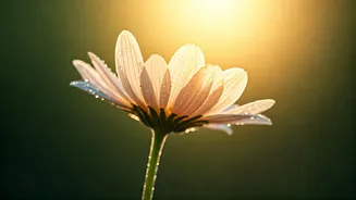 Unlock Supermodel Skin: Expert Secrets for a Radiant Spring & Summer Glow