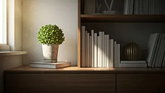 Declutter Your Home, Transform Your Life