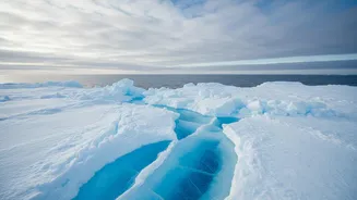 What The New Arctic Cloud-Particle Study Reveals About Sea Ice Effects On Cloud Formation