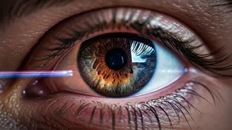 Related Stories banner