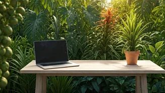 Digital Nomads Flock To Zero-Waste Thai Community Garden Workspaces