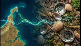 How to Use the Satellite and Indigenous Coastal Knowledge Story without Overstating Community Evidence and Climate Planning
