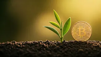 The Happiness Equation: Why More Money Isn't Always the Answer