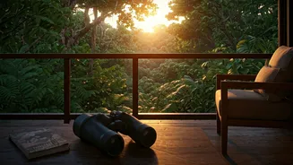 Wildlife Lodges Are The Upgrade Jungle Trips Needed