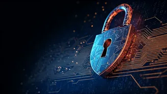 Navigating the Digital Gauntlet: Understanding Website Security Verifications