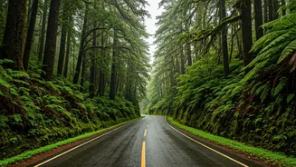 Western Ghats Monsoon Drive: What To Pack Today