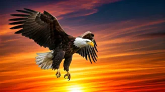 Top 10 Patriotic Dialogues From Bollywood Films: Republic Day 2026!