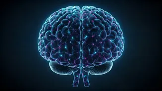 7 Astonishing Ways Meditation Quietly Rewires Your Brain: A Scientific Look