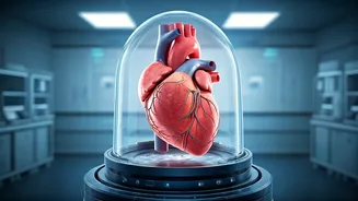 Your Blood Pressure in Your 30s: Heart Health at 70