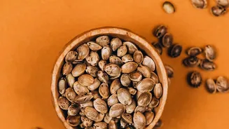 Seed Cycling Should Not Replace Medical Care For Hormonal Symptoms And Seed Cycling Rotates Different Seeds Across The Menstrual Cycle