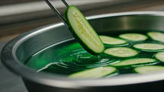 Bihar Cucumber Scare: Vendors Use Green Dye at Katihar Station, RPF Detains Nine