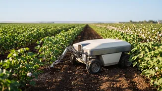 Edge AI robots boost organic cotton