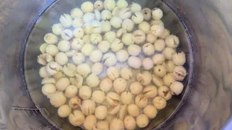 Lotus seeds: Why you should include this superfood