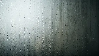 The Indoor Moisture Mistakes To Avoid