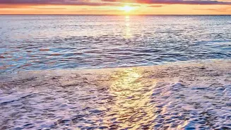 Solo Beach Getaways In South Goa: Discover Peaceful Agonda And Galgibaga Beaches