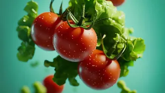 The Latest Protein Review Adds Needed Context To Food Quality Alongside Protein Quantity