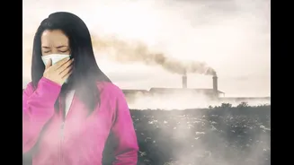 How Rising Air Pollution Is Triggering A Surge In Skin Rashes And Allergies