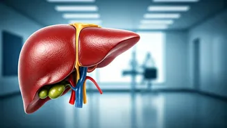 Liver Health: Lifestyle Choices for a Healthy Tomorrow