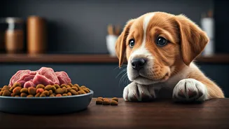 How Urban India Adopted Vet-Approved Fresh Meat Food For Puppies