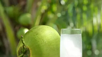 Coconut Water And Buttermilk Compared As Everyday Hydration Drinks: What The Current Update Adds