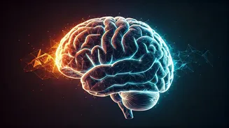 Master Your Mind: 5 Psychological Hurdles to Better Decisions & How to Overcome Them