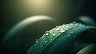 Rainy Days Need Smart Skincare Too