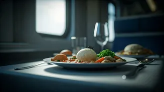 Vande Bharat Meal Mishap: Insect Discovery Sparks Food Safety Outrage