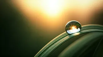 Unlock Your Day: Powerful 5 AM Affirmations for a Victorious Morning