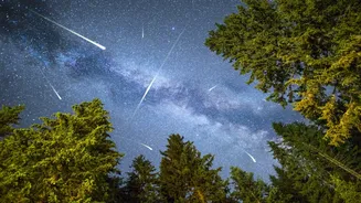 Geminid meteor shower to light up sky in multicolours on Dec 13-14: Best time to watch