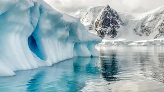 NASA's Two-Year Polar Heat Record Adds A New Piece To Two Years Of Polar Data
