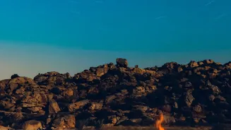 Why Light-Pollution-Free Reserves Are Emerging As India's Highest Rated Mindful Vacation Trends Among Youth