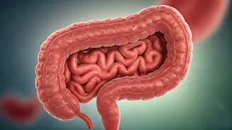 Monsoon Survival Starts With Gut-Safe Food
