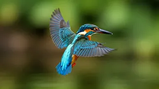 Birdwatchers Are Giving Delhi A Fresh Travel Lens