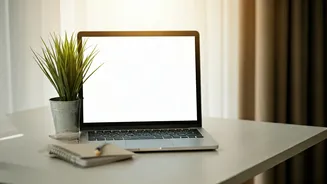 Your Mid-Year Career Check Could Change Everything