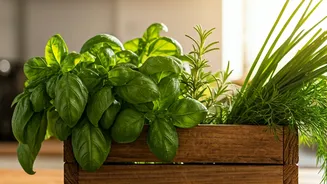 Fresh Herbs Are The Tiny Garden Upgrade