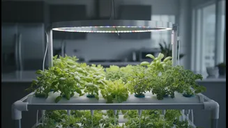 How Tech-Savvy Home Gardeners Integrate LED Lighting Loops With Indoor Hydroponics Plans