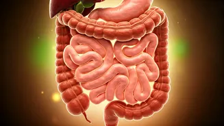 India Focuses On Gut Health Nutrition