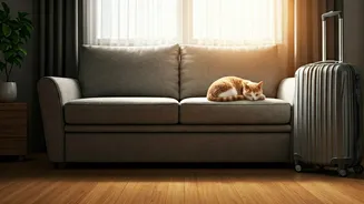 In-House Pet Services Make Travel More Practical