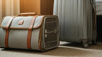 Hotels And Airlines Need Pet-Parent Clarity