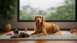 Monsoon Pet Care Has Entered Urban Life
