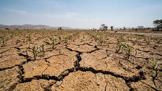 September Rain Deficit: How It Could Affect Crop Yields, Farm Costs And Food Prices