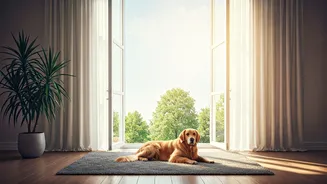 Natural Ventilation Makes Pet Homes Feel Fresher